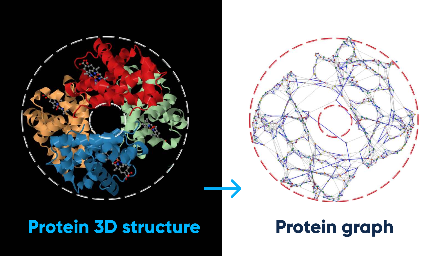 protein-3d-structure-to-protein-graph