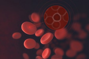 Computer Vision Application for Blood Recognition and Analysis