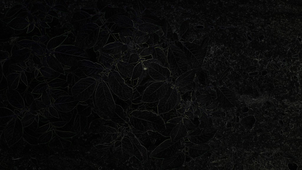 Image2.jpg-mag_Easy-Resize.com