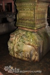 Medusa Head