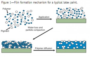 Particles Formation in Polymer-Water-Surfactant Systems