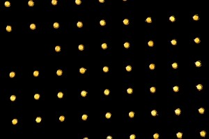 Result of processing image IMG2