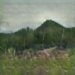 image8