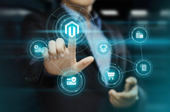 Magento B2B ecommerce shop for selling Computers & Accessories