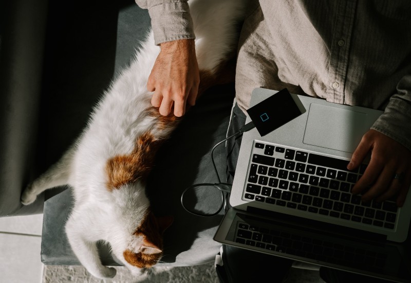 Pets Insurance Platform for US Insurance Company