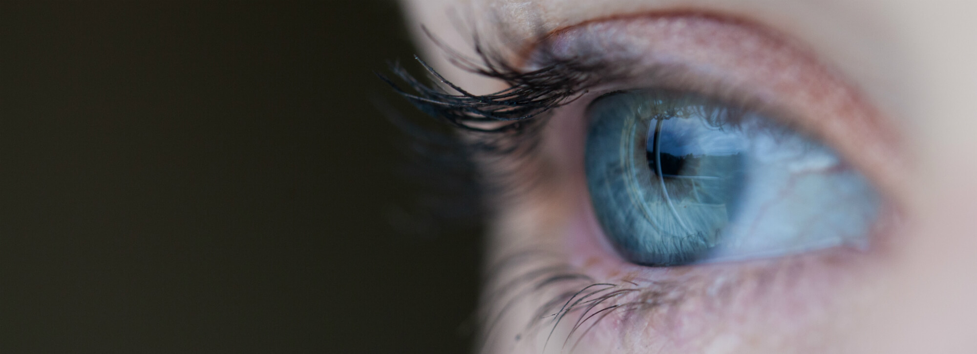 Eye & Gaze Tracking Software for Educational and Marketing Research