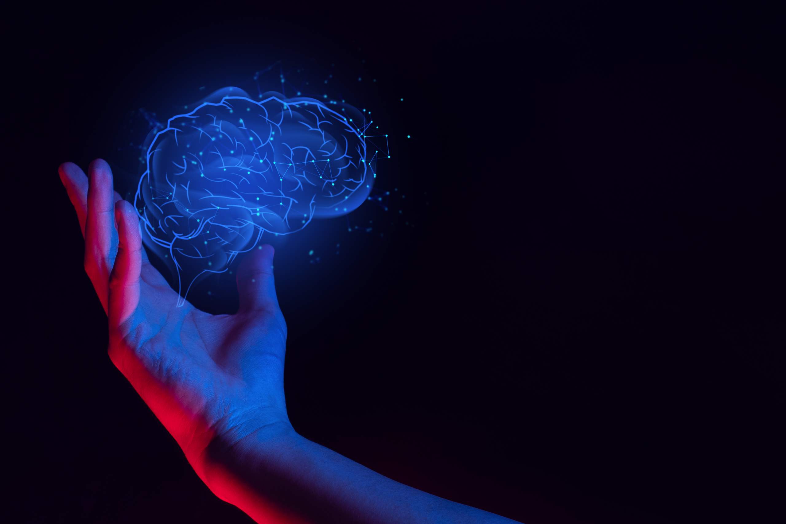 From ADAS to Sign Language Translation, How Gesture Recognition Disrupts our World