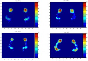 Abto Software's User Identification Based on Foot Pressure Profile user identification picture